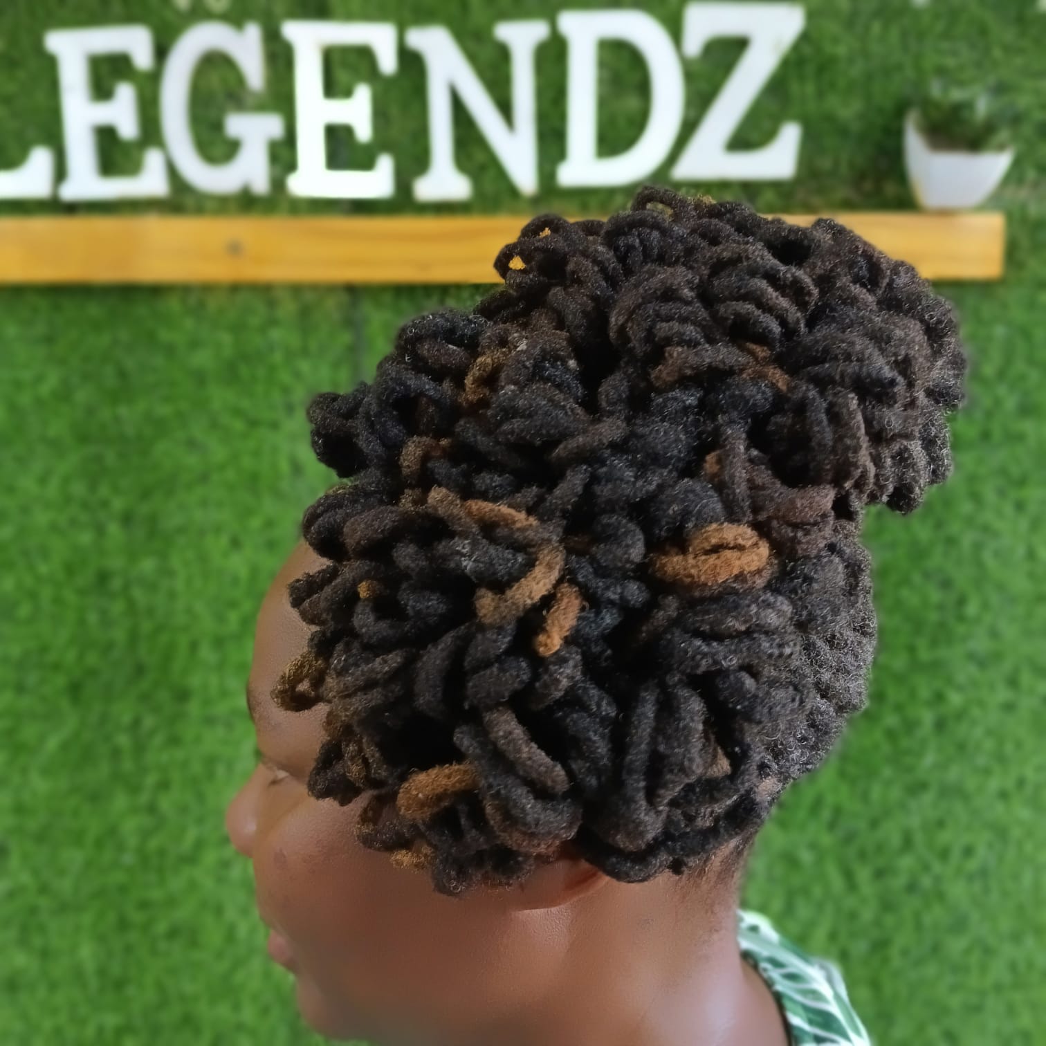 Curled locs with copper highlights gathered into a high puff